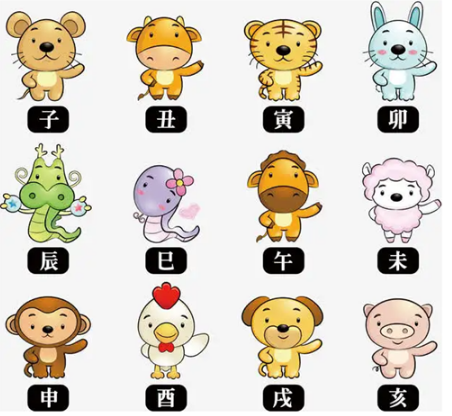 生肖起名和八字起名哪个更好.png